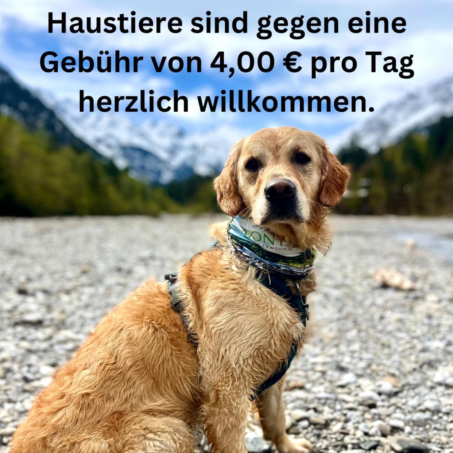 Montana Haus, Fewo A14, A17, B4 Oder C8 Oberstdorf Luaran gambar